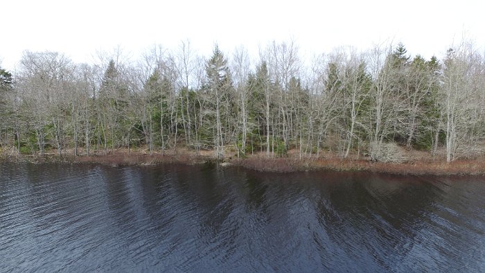 WentworthHalbinsel (83)